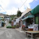 신흥관광 이미지