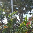 제주담스테이 이미지