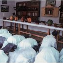 금거1리 | 제2부 요당리, 농촌에서 박사마을이 되기까지 제4장 요당리의 문화와 환경의 변화