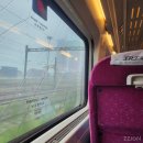 뽑기로드 | LCK 2025 로드 투 MSI 이틀 연속 직관 1일차 후기 (사직 경기장)