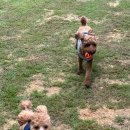 젤리뽀개린이집 이미지