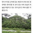 (수정) 7월15일(수) 속리산 화양구곡 트레킹 &amp; 물놀이 갑니다 이미지
