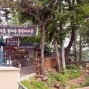 신정호길 이미지