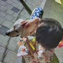 남사점핑 | 차고 기우는 달