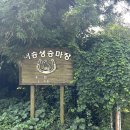 어승생승마장 | 제주승마체험 하기 좋은 어승생승마장 말타기 후기