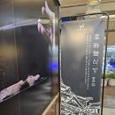 엄마광주식당 | [광주/진월동] 보이저진월 규카츠 맛집 후라토식당 광주점 후기