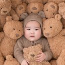털로 덮인 친구들 인천검단점 | + 170 :: 인천 검단 아기 사진 180일 촬영 후기 돌 100일 50일 스튜디오 촬영 감성 유행 (촬영꿀팁)