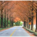 강천산군립공원 이미지