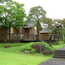 편백나무 주택 이미지