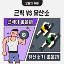 리턴투핏 이미지