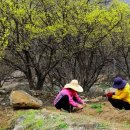 선암호수노인복지관 이미지