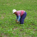 유랜드모텔 이미지