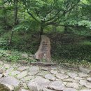느티나무길>금강공원길 네이버블로그