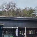 제비원 | 안동 고소한 삼겹살 [제비원삼겹] 솔직후기