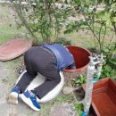 중앙동-08 이미지