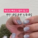 노유네일