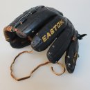 김성겸 카카오 검색결과