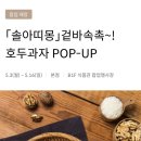 솔아띠몽 네이버블로그