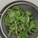 해결 | 장 유산균 효과 변비 해결 후기