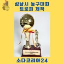 골든슈즈 | 성남시 농구대회 트로피 제작 후기