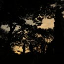 신륵사의 붉은 새벽 이미지