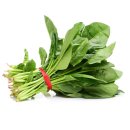 남해-300 이미지