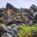 금월봉관광지 이미지