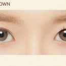 제주돌체 이미지