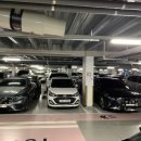 뉴그린카 이미지