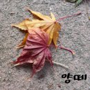 Josh Groban - Impossible Dream 이미지