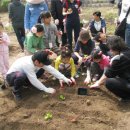 풀빛동산 이미지