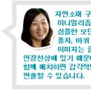 러브 하우스 이미지