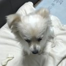 현대동물병원 이미지