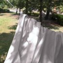 Geometric  이미지