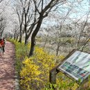 소래로(풍림아파트 앞) 이미지