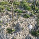 추월농장2 이미지