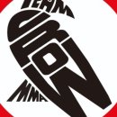 팀크로우 MMA 이미지