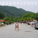 가평 물골숲 계곡 캠핑장 네이버블로그