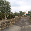 유리민박 이미지