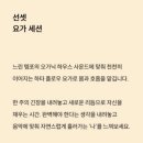 웰리트립, 선데이 선셋 레이브 후기ㅣ요가, 무빙메디테이션, 미드테이스팅 웰니스 클래스ㅣ콤포트서울