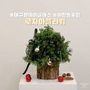 로지아플라워