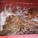 종점낚시 이미지