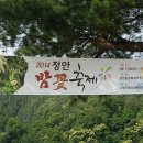 정안마을 이미지