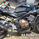 렉스코리아 이미지