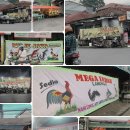 It&#39;s Okay Not to Read My Letters 🐘💕 이미지