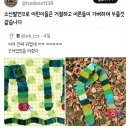 트위터 캡쳐 모음.twt 이미지