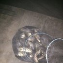 오목낚시터(신창낚시터) 이미지