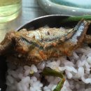 방파제횟집 이미지