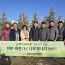 법인오솔로
