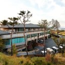 디아너스 이미지